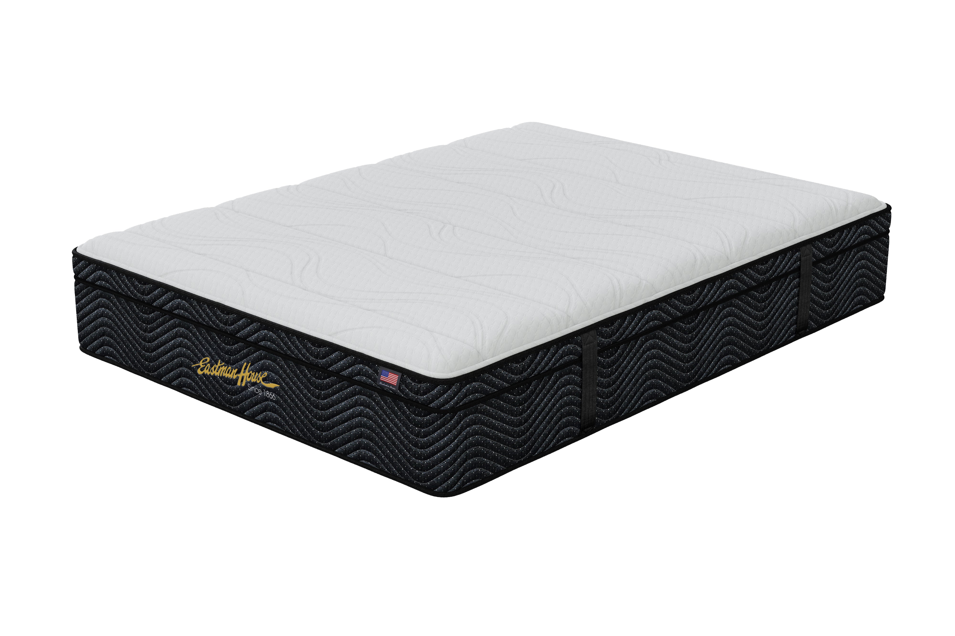 Aiden Plush Euro Top by Eastman House