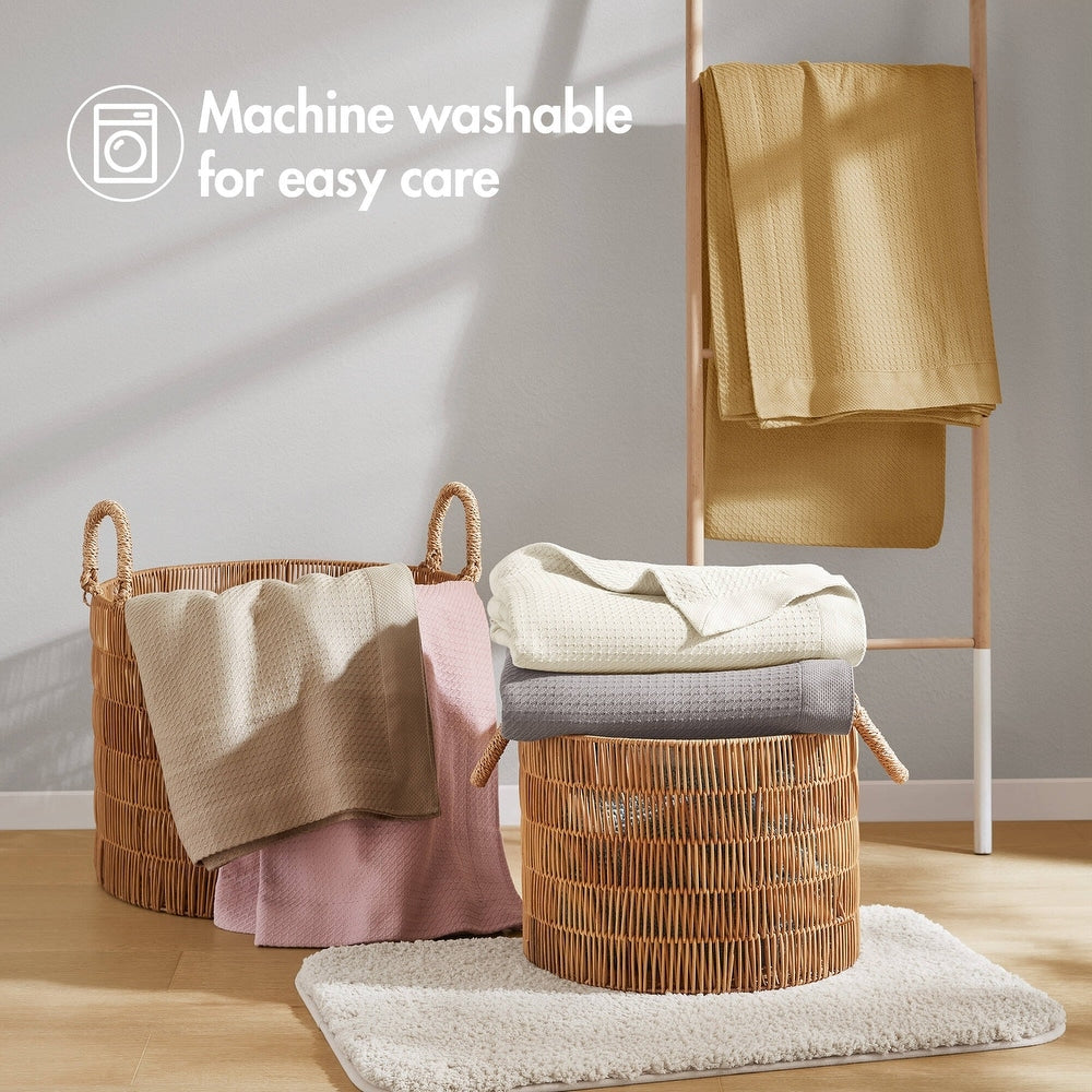 Madison Park Egyptian Cotton Solid Blanket