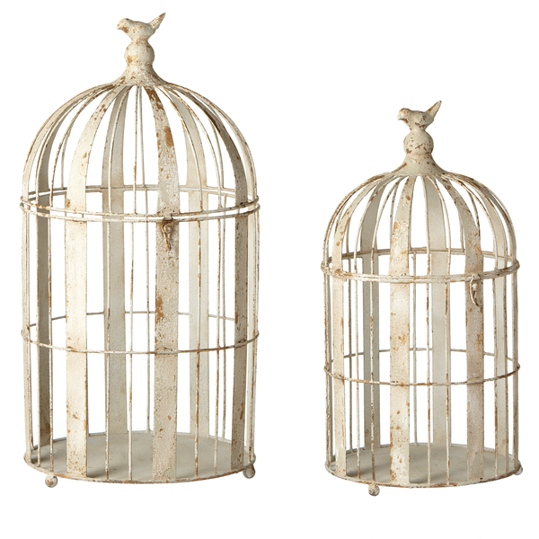Weathered Metal Bird Cage (2 pc.)