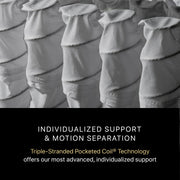 Close-up of Beautyrest Triple-Stranded Pocketed Coil System | Adaptive Support & Motion Separation